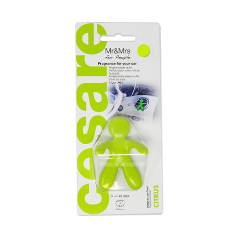 Cesare Green Citrus 338