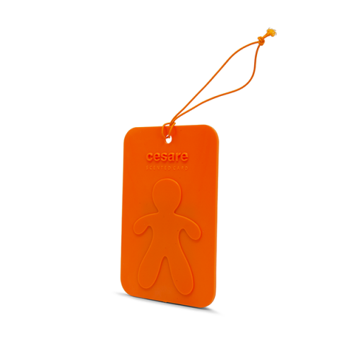 Cesare Dišeča Kartica Energy 62