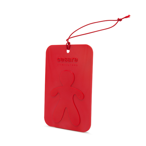 Cesare Dišeča Kartica Pepper Mint 72